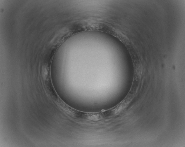 X0000070230709200605301456