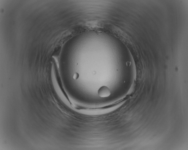 X0000070230710200605301456