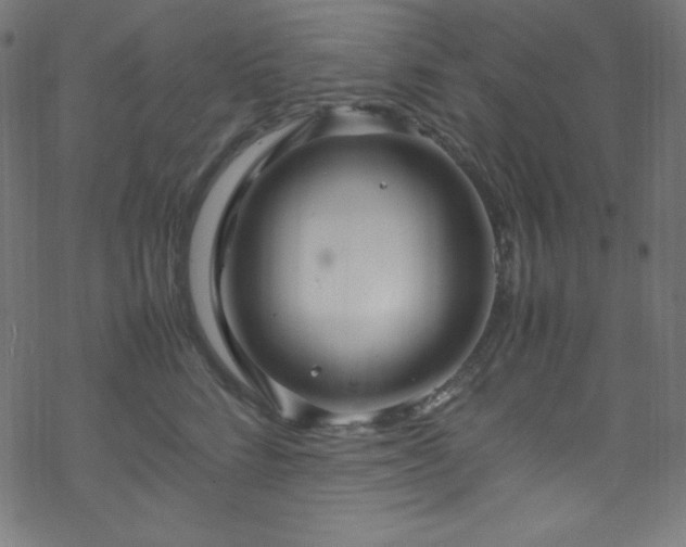 X0000070230712200605301456