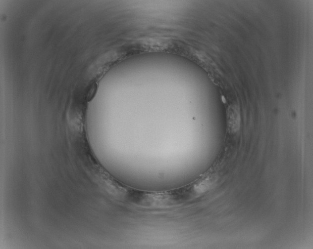 X0000070230713200605301455