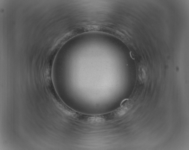 X0000070230714200605301455