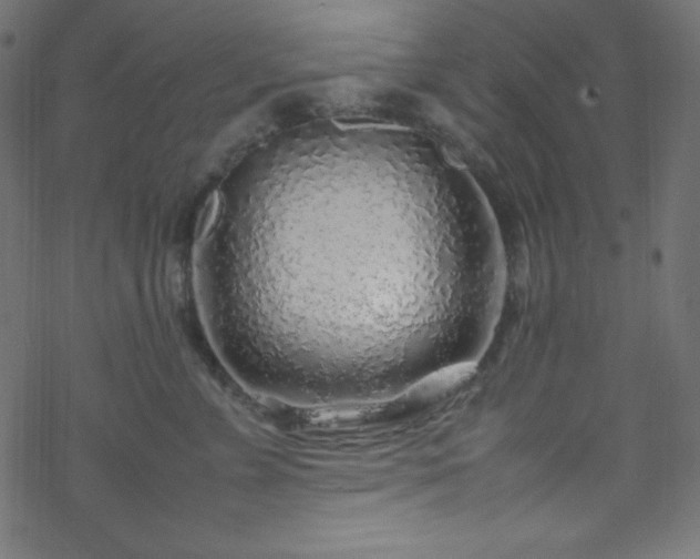 X0000070230715200605301455