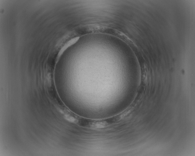 X0000070230716200605301455