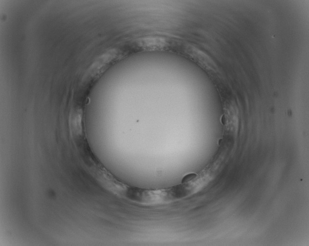 X0000070230717200605301455