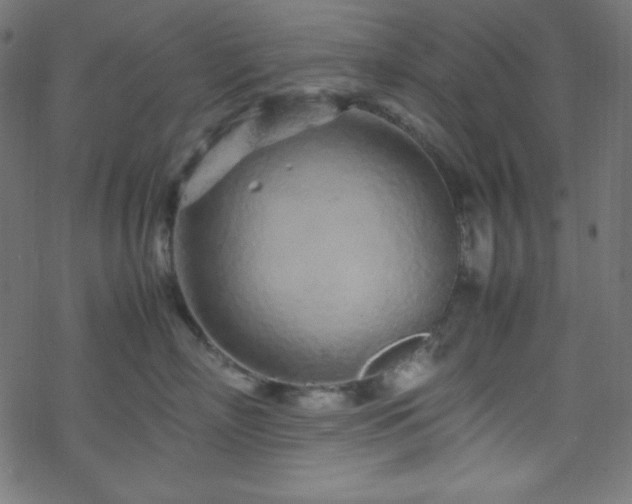 X0000070230718200605301455