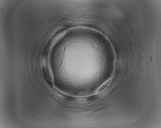 X0000070230719200605301455