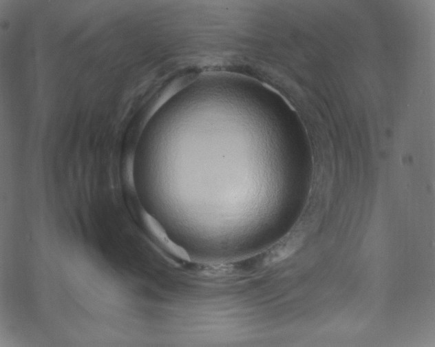 X0000070230720200605301455