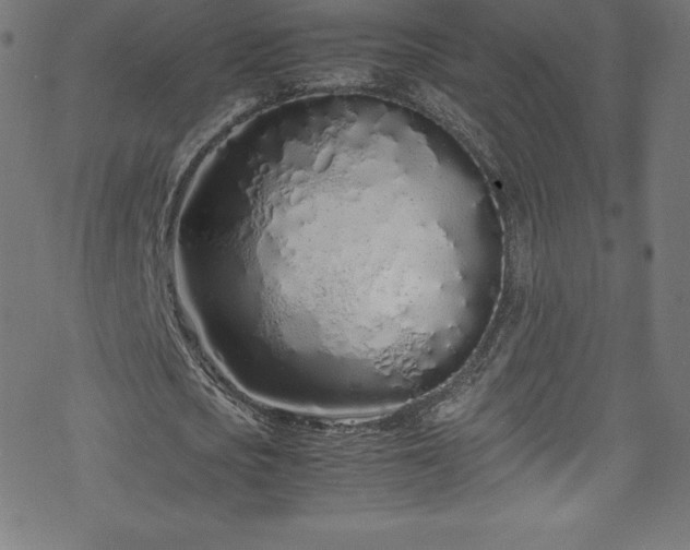 X0000070230721200605301455