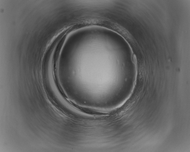 X0000070230722200605301455