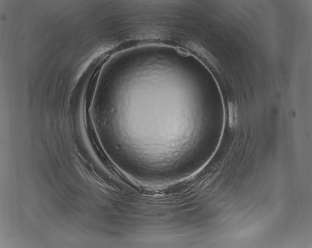 X0000070230723200605301455