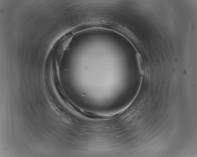 X0000070230724200605301455