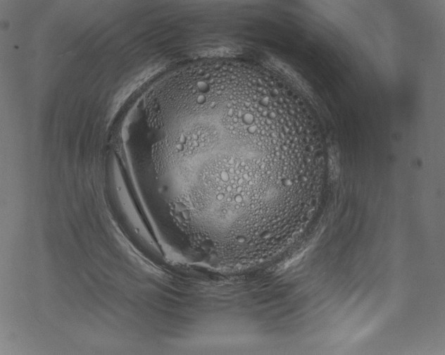 X0000070230725200605301455