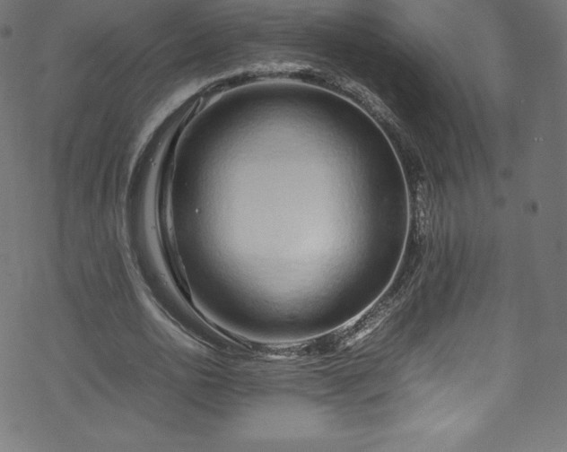 X0000070230726200605301455