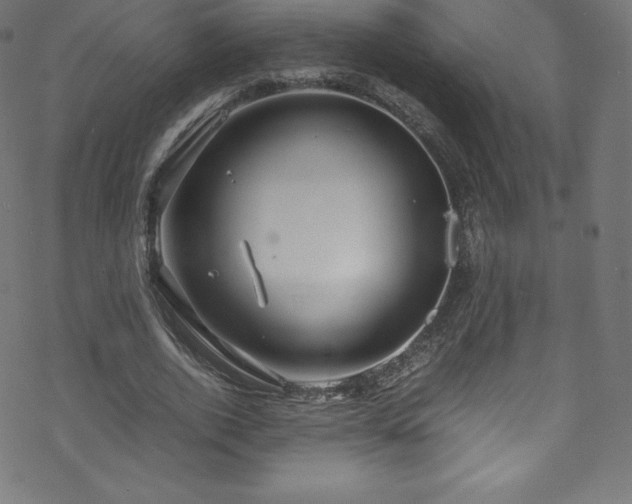 X0000070230728200605301455