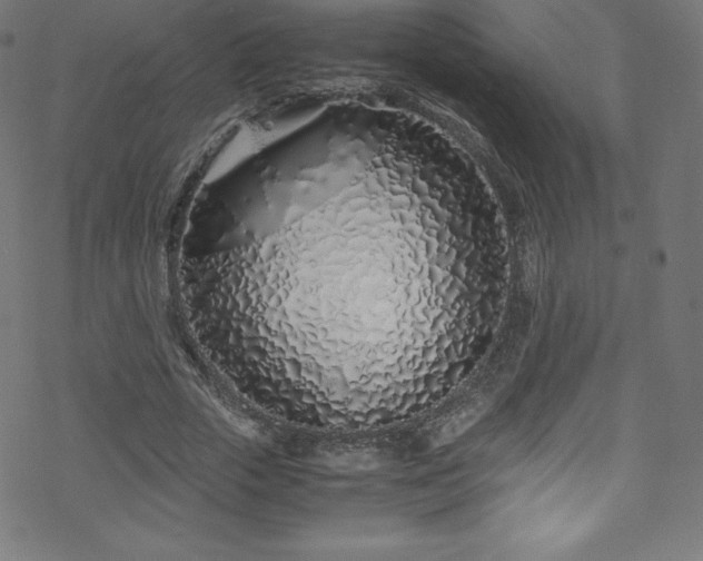 X0000070230729200605301455