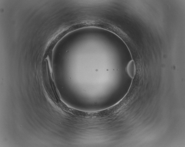 X0000070230730200605301455