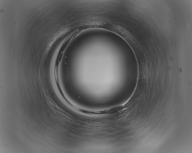 X0000070230731200605301455