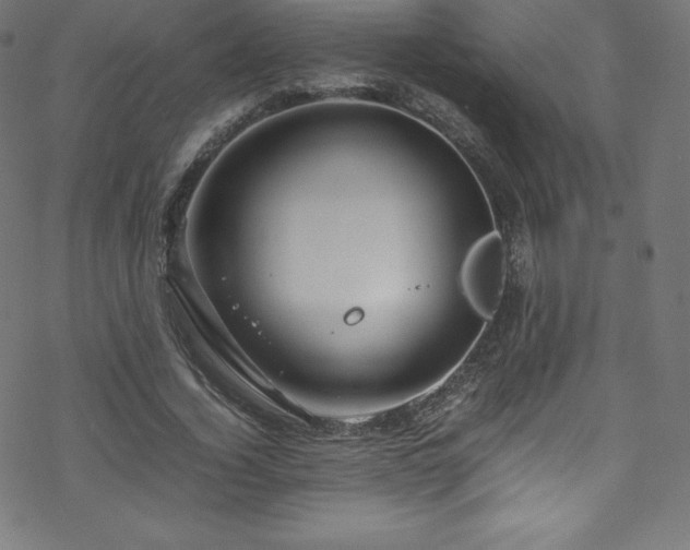 X0000070230732200605301455