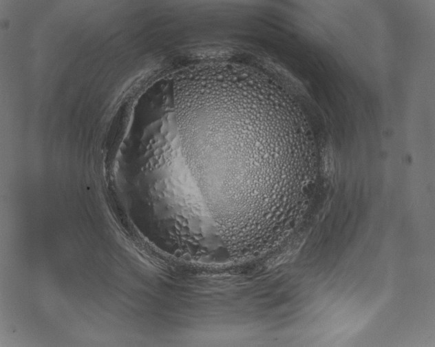 X0000070230733200605301455