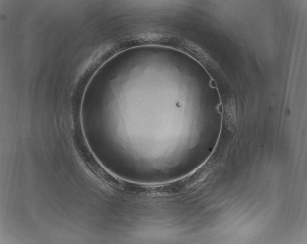 X0000070230734200605301455