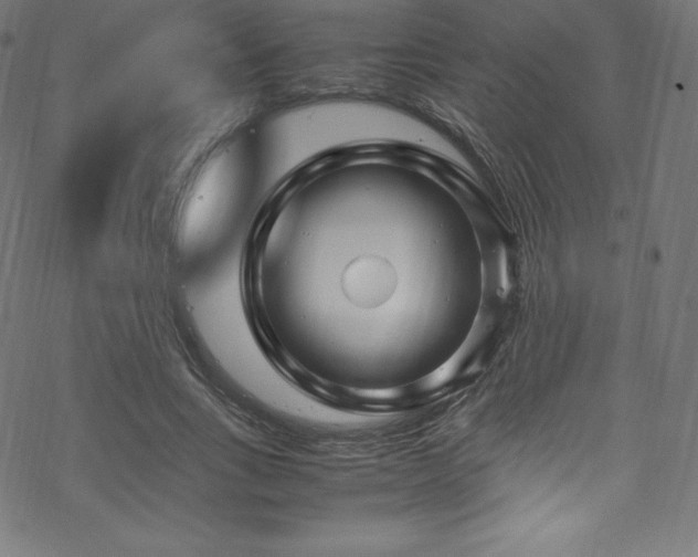 X0000070230735200605301455