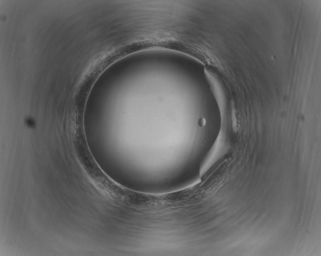 X0000070230736200605301455