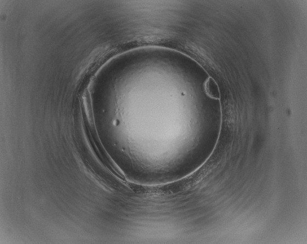 X0000070230738200605301455