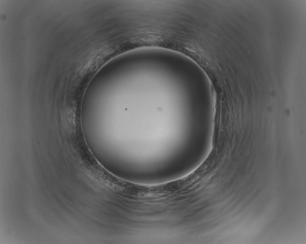 X0000070230739200605301455