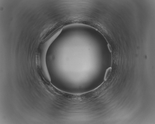 X0000070230740200605301455