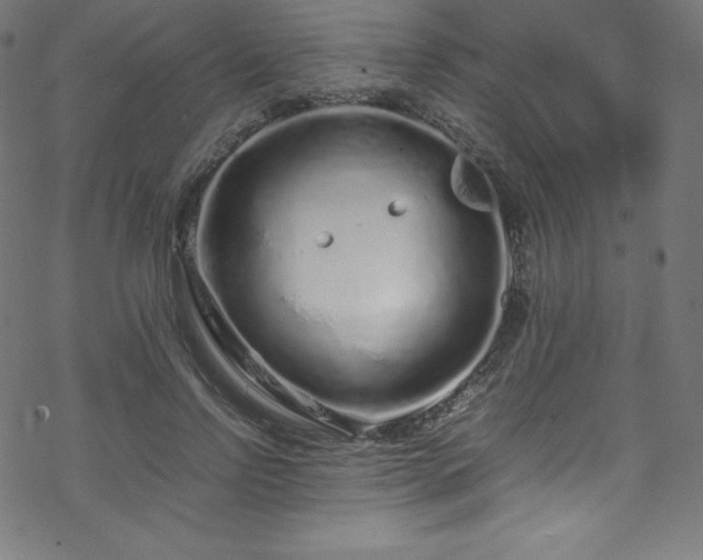 X0000070230742200605301455