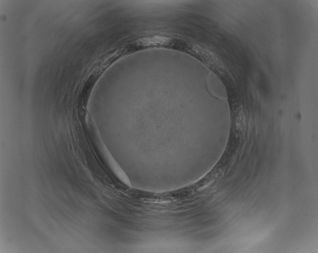 X0000070230743200605301455