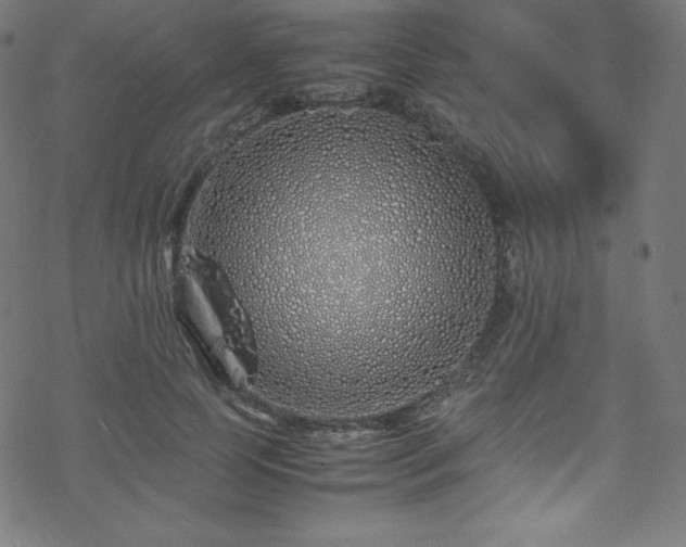 X0000070230745200605301455