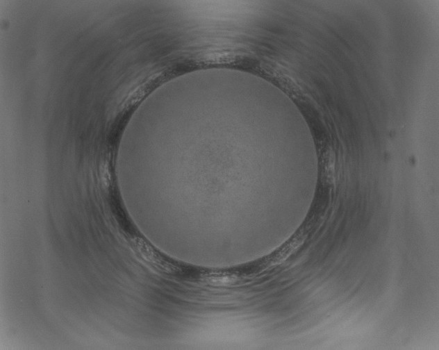 X0000070230746200605301455