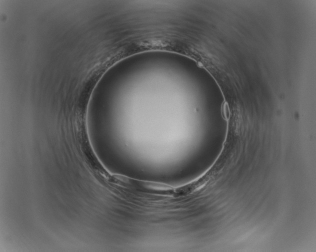 X0000070230747200605301455