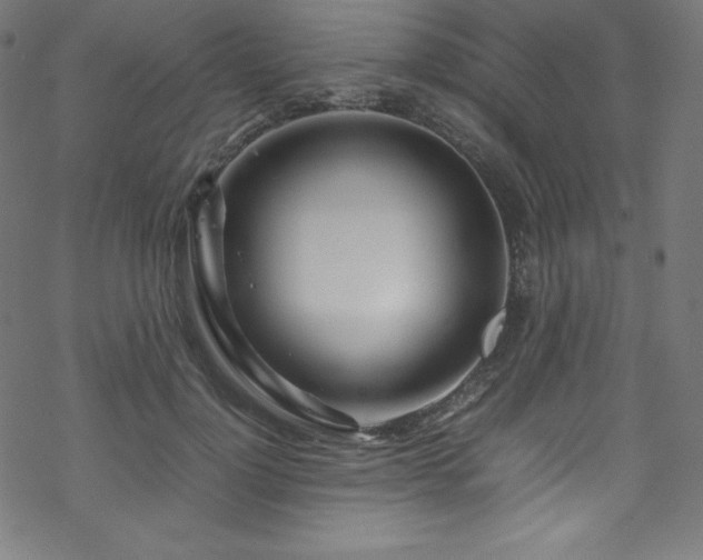 X0000070230748200605301455