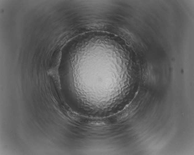 X0000070230749200605301455