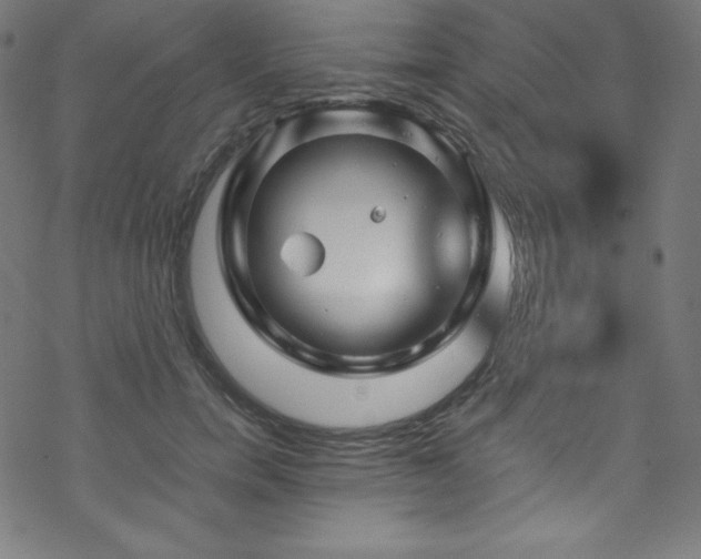 X0000070230750200605301455