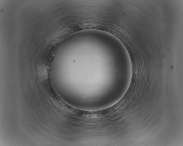 X0000070230751200605301455