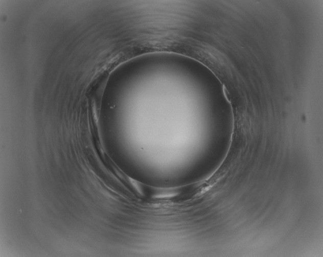 X0000070230752200605301455