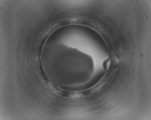 X0000070230754200605301455