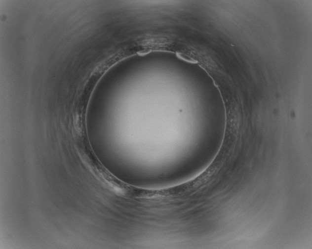 X0000070230755200605301455