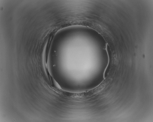 X0000070230756200605301455