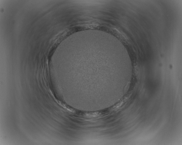 X0000070230757200605301455