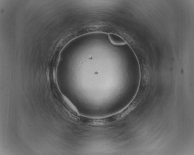 X0000070230758200605301455