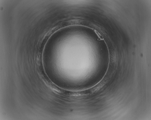 X0000070230759200605301455