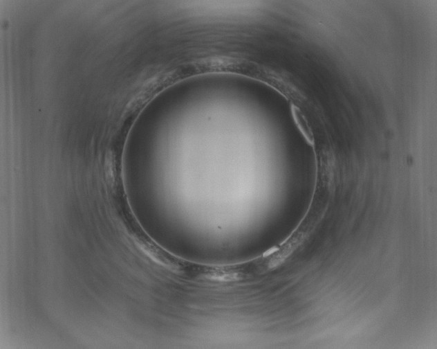 X0000070230760200605301455