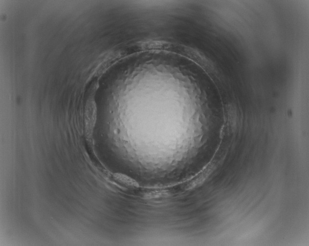 X0000070230761200605301455