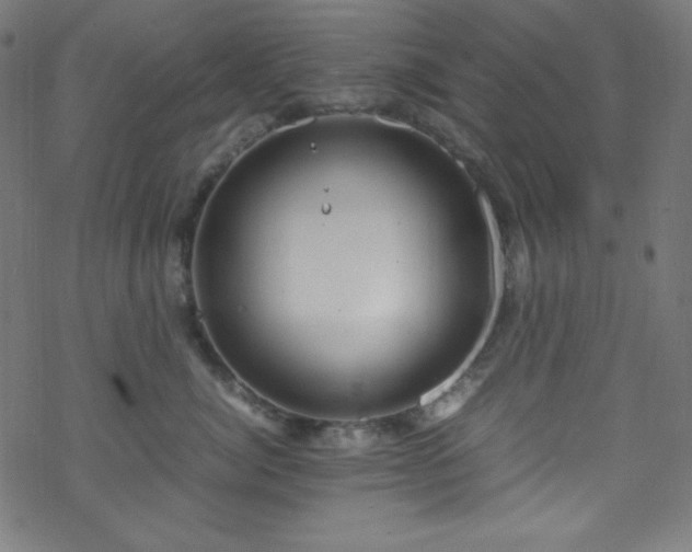 X0000070230764200605301455