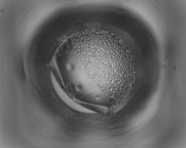 X0000070230765200605301455