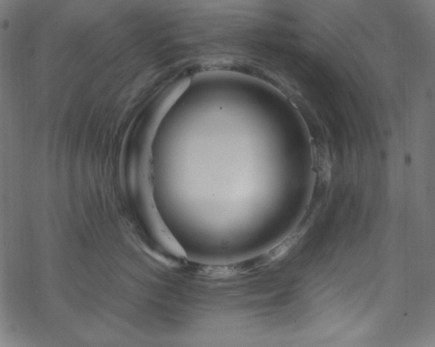 X0000070230766200605301455